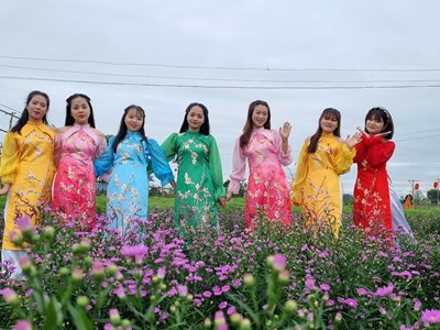 Cánh đồng hoa Nghĩa Hà sẵn sàng đón khách du Xuân