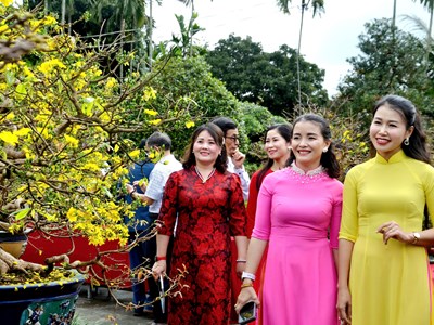 Mục sở thị những gốc mai thế độc, dáng đẹp tại Ngày Bonsai - Mai vàng Nghĩa Hành