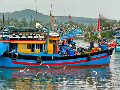 Ngư dân Quảng Ngãi phấn khởi đón “lộc biển” đầu Xuân