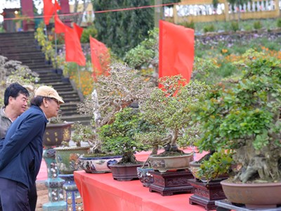 Thỏa niềm đam mê, nâng cao thu nhập từ sinh vật cảnh