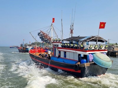Quảng Ngãi kiên quyết xử lý các trường hợp vi phạm IUU