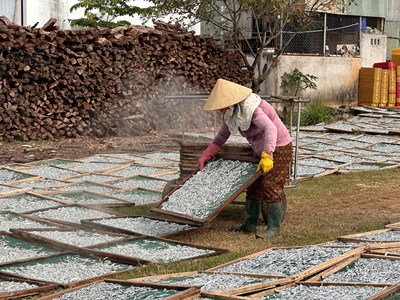 Phụ nữ ven biển Quảng Ngãi mưu sinh nghề hấp cá