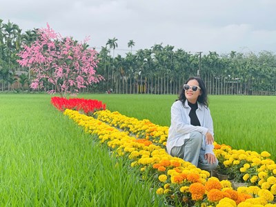 Cánh đồng lúa và hoa ở làng du lịch cộng đồng Bình Thành