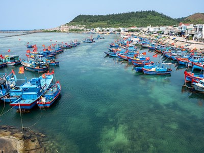 Quảng Ngãi quyết liệt thực hiện chống khai thác IUU