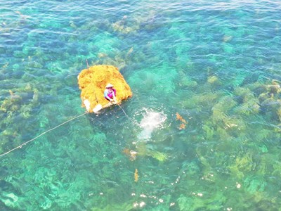 Phát triển sinh kế gắn với bảo vệ rong mơ ở vùng biển Quảng Ngãi