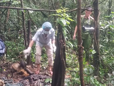 Lên rừng tìm mật ong, “tá hỏa” phát hiện bộ hài cốt