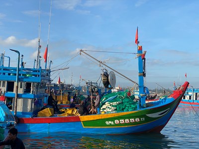 Quảng Ngãi quyết tâm chấm dứt tình trạng tàu cá vi phạm khai thác IUU
