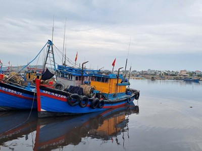 Quảng Ngãi kêu gọi tàu thuyền ra khỏi vùng nguy hiểm do bão số 1