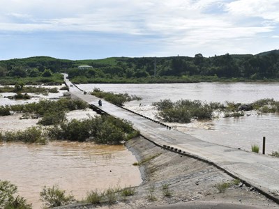 Quảng Ngãi đề xuất 350 tỉ đồng xây mới cầu Thạch Nham