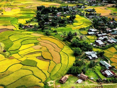 Du lịch Quảng Ngãi – Một hành trình nhiều điểm đến