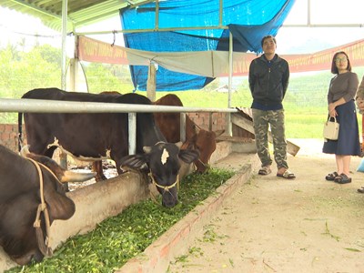 Người có uy tín tiên phong trong phát triển kinh tế