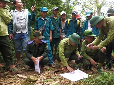 Quản lý, bảo vệ rừng trên không gian số