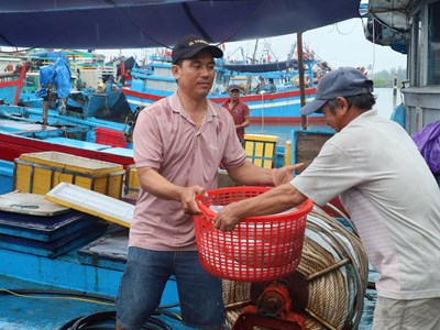 Hàng trăm tàu thuyền vào bờ tránh trú bão số 5