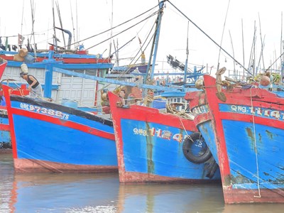 Bảo đảm an toàn cho tàu cá tại nơi tránh trú bão Fengshen