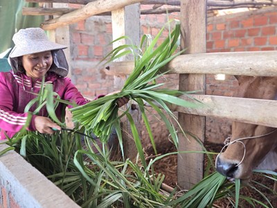 Xã Mộ Đức đẩy mạnh công tác giảm nghèo bền vững