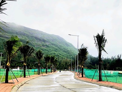 Đặc khu Lý Sơn đẩy mạnh phát triển hạ tầng góp phần giảm nghèo bền vững