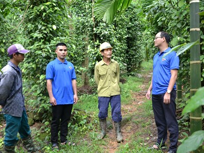 “Chìa khóa” cho lao động nông thôn