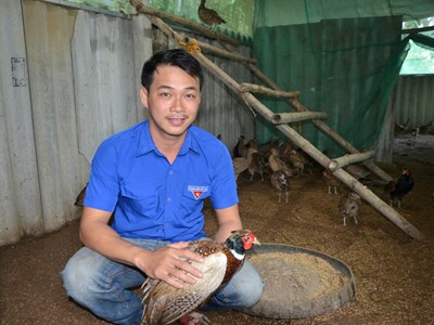 Thanh niên chủ động phát triển kinh tế từ mô hình quy mô nhỏ