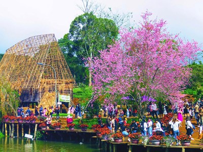 Quảng Ngãi đạt 3.700 tỉ đồng doanh thu từ du lịch 