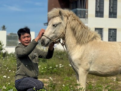 Giữ một nét riêng cho du lịch biển bằng tiếng vó ngựa