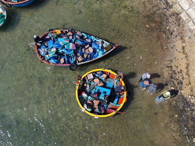 Ngư dân bãi ngang Quảng Ngãi trúng đậm ruốc biển