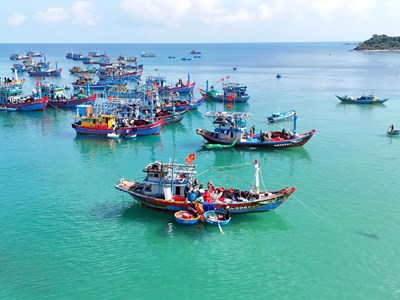 Ngư dân Quảng Ngãi ứng dụng máy lái tự động giảm chi phí nhiên liệu