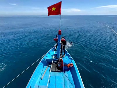 Quảng Ngãi công bố 3 khu vực nhận chìm chất nạo vét, tổng sức chứa gần 9,2 triệu m³