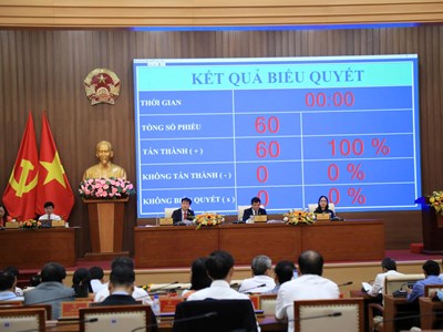 Quảng Ngãi chuyển đổi gần 83ha rừng phục vụ dự án Khu đô thị 6.600 tỉ đồng tại Măng Đen