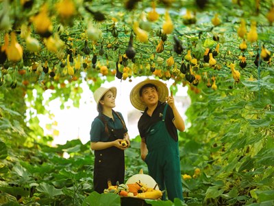Quảng Ngãi đón sóng du khách, doanh thu du lịch tăng mạnh