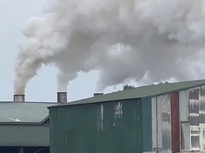 Khí thải tại Nhà máy Wood Pellets vượt quy chuẩn môi trường