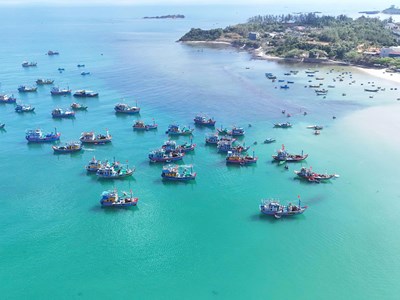 Quảng Ngãi tạo động lực mới cho du lịch biển xã Đông Sơn