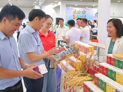 Quảng Ngãi tổ chức chuỗi sự kiện lớn, mở rộng cơ hội hợp tác, đầu tư và phát triển du lịch