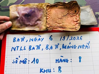 Phát hiện ví mang tên “Trọng Thanh” trong mộ liệt sĩ chưa xác định danh tính