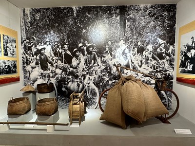 Giới thiệu hơn 300 hình ảnh, tài liệu, hiện vật tiêu biểu 