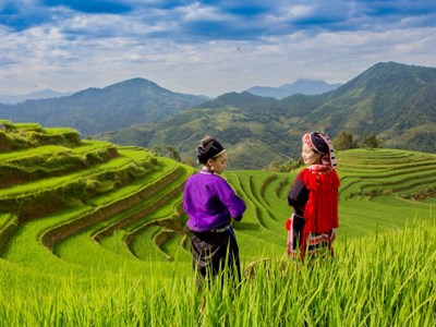 Mê mẩn cảnh sắc ruộng bậc thang Hoàng Su Phì