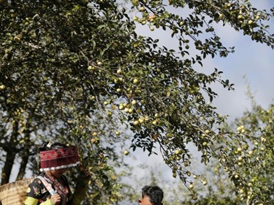 Bảo tồn truyền thống để phát triển du lịch