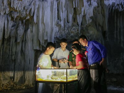 Hang Chỉ Huy - lớp học lịch sử giữa đại ngàn