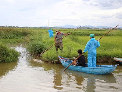  Công khai đường dây nóng phòng chống bệnh dịch tả lợn châu Phi