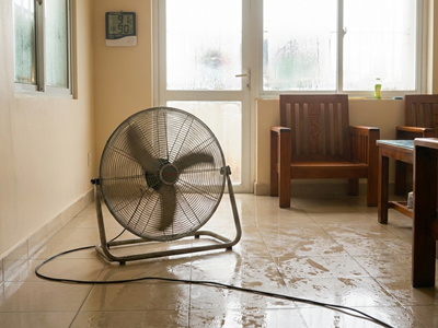 Trời nồm ẩm có nên “giải cứu” bằng cách bật quạt, mở cửa?