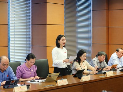 Đại biểu Quốc hội đánh giá cao Chương trình mục tiêu quốc gia về phát triển văn hóa 