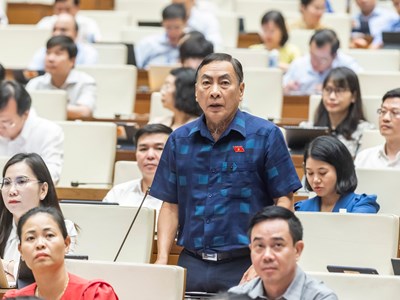 Các đại biểu Quốc hội thống nhất cao với chủ trương đầu tư Chương trình mục tiêu quốc gia về phát triển văn hoá