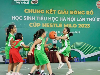 100 trường tiểu học dự Giải bóng rổ học sinh Hà Nội