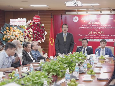 Ra mắt Giải Cờ tướng, Cờ tướng úp doanh nhân toàn quốc