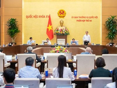 Cần sớm ban hành quy định về đào tạo nghệ thuật đặc thù để tránh đứt gãy nguồn nhân lực