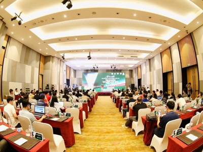 Ra mắt Giải bóng đá 7 người vô địch quốc gia 2025