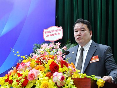 Tiến sĩ Nguyễn Ngọc Anh giữ chức Chủ tịch Liên đoàn Võ thuật cổ truyền Việt Nam khóa VI