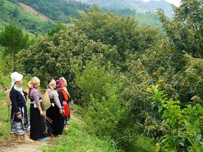 Thái Nguyên triển khai hiệu quả Chương trình Mục tiêu quốc gia giảm nghèo bền vững giai đoạn 2021–2025