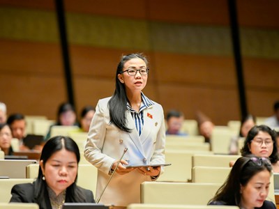 Đại biểu Quốc hội đề nghị bảo vệ nguồn thu và thương hiệu báo chí  trên môi trường số