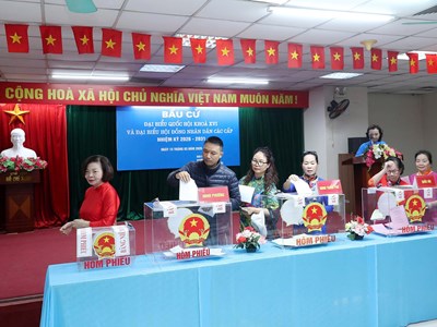 Tỉ lệ cử tri cả nước đi bầu cử đạt trên 99% 