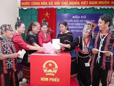 Cử tri lớn tuổi nhất thực hiện bầu cử là cụ Hoàng Thị Tồng, 119 tuổi